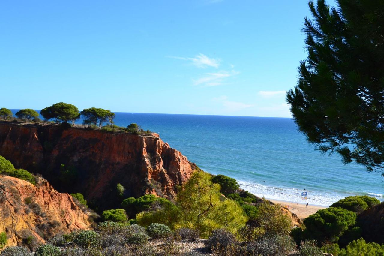 T0 Junto A Praia De Vale Centeanes / Carvoeiro Lagoa  Dış mekan fotoğraf